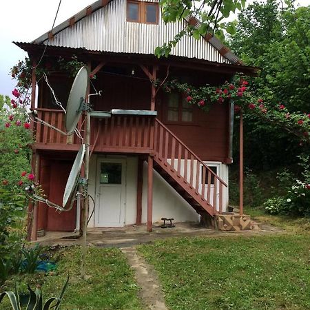 Villa Tengiz Chakvistavi Exteriér fotografie