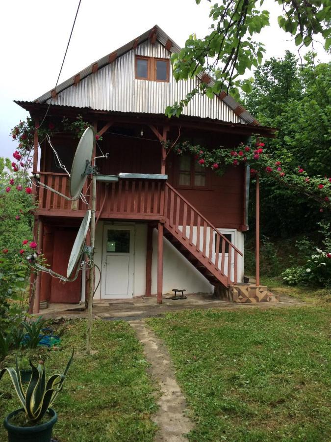 Villa Tengiz Chakvistavi Exteriér fotografie